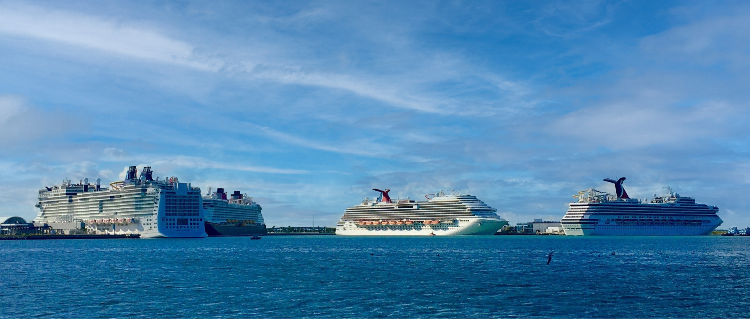 port canaveral cruise ships